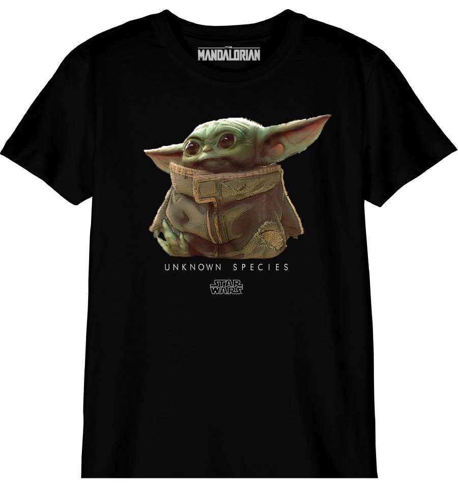 T-Shirt Baby Yoda - Star Wars - Enfant - Espèce Inconnue - 6 ans, Noir